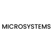 Our Clients-Microsystems